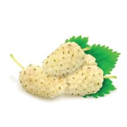 Mulberry My Flavor